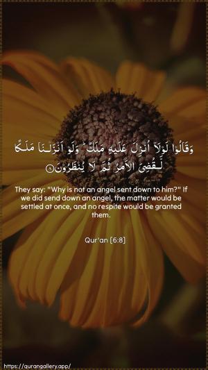 Al-An"aam Ayah 8 - Arabic + English wallpaper