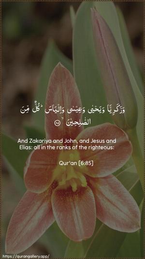 Al-An"aam Ayah 85 - Arabic + English wallpaper