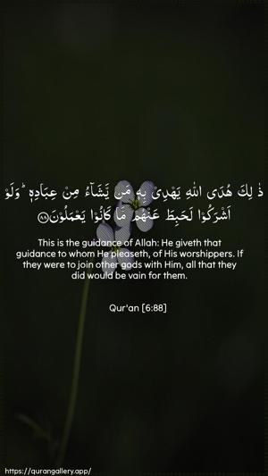 Al-An"aam Ayah 88 - Arabic + English wallpaper