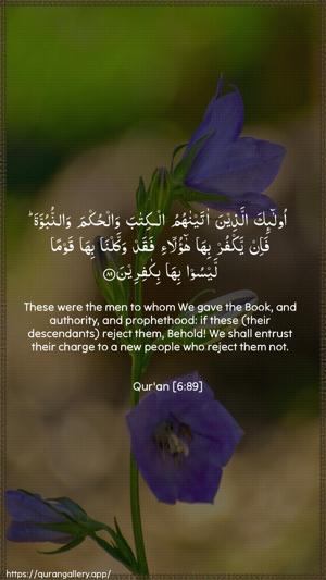 Al-An"aam Ayah 89 - Arabic + English wallpaper