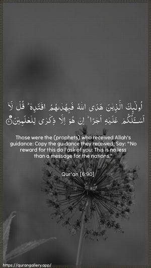 Al-An"aam Ayah 90 - Arabic + English wallpaper