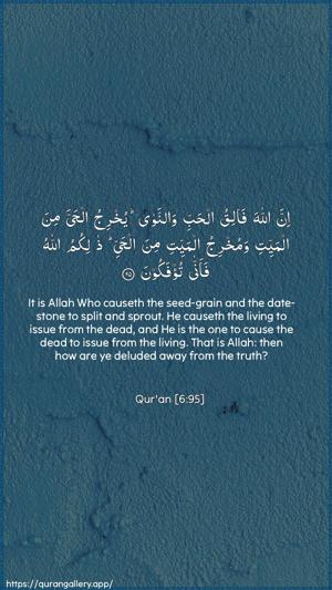 Al-An"aam Ayah 95 - Arabic + English wallpaper