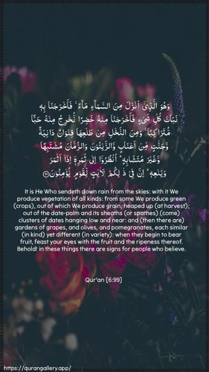 Al-An"aam Ayah 99 - Arabic + English wallpaper