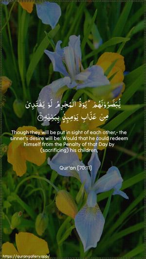 Al-Ma"aarij Ayah 11 - Arabic + English wallpaper