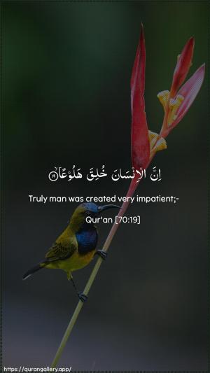 Al-Ma"aarij Ayah 19 - Arabic + English wallpaper