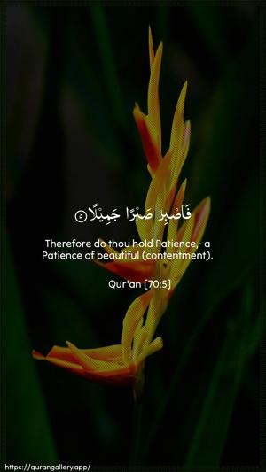 Al-Ma"aarij Ayah 5 - Arabic + English wallpaper