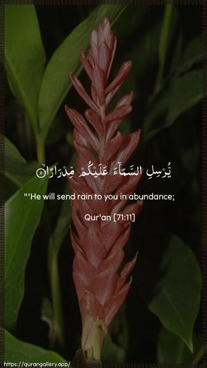 Nooh Ayah 11 - Arabic + English wallpaper