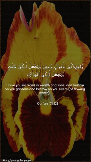 Nooh Ayah 12 - Arabic + English wallpaper