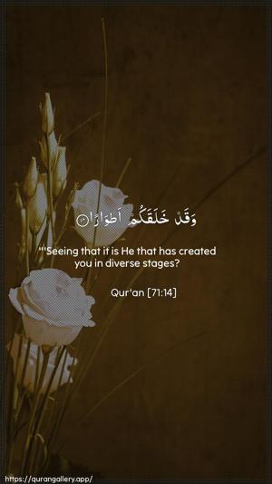 Nooh Ayah 14 - Arabic + English wallpaper