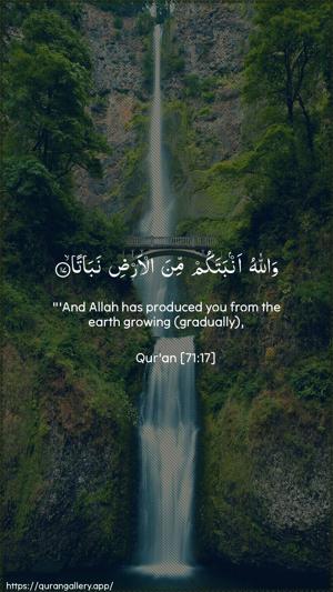 Nooh Ayah 17 - Arabic + English wallpaper