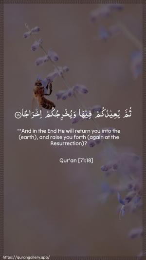 Nooh Ayah 18 - Arabic + English wallpaper