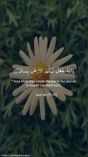 Nooh Ayah 19 - Arabic + English wallpaper