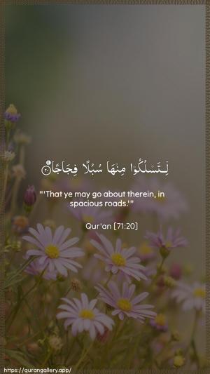 Nooh Ayah 20 - Arabic + English wallpaper