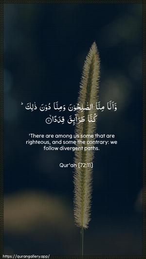 Al-Jinn Ayah 11 - Arabic + English wallpaper