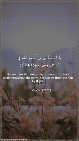 Al-Jinn Ayah 12 - Arabic + English wallpaper
