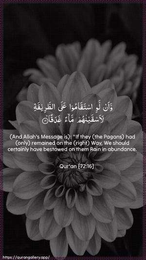 Al-Jinn Ayah 16 - Arabic + English wallpaper