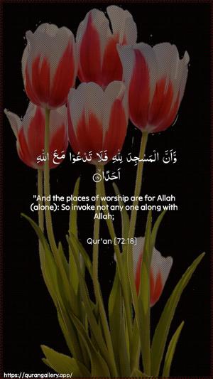 Al-Jinn Ayah 18 - Arabic + English wallpaper