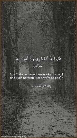 Al-Jinn Ayah 20 - Arabic + English wallpaper