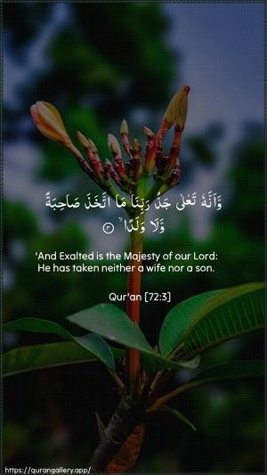 Al-Jinn Ayah 3 - Arabic + English wallpaper