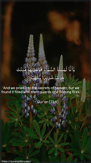Al-Jinn Ayah 8 - Arabic + English wallpaper