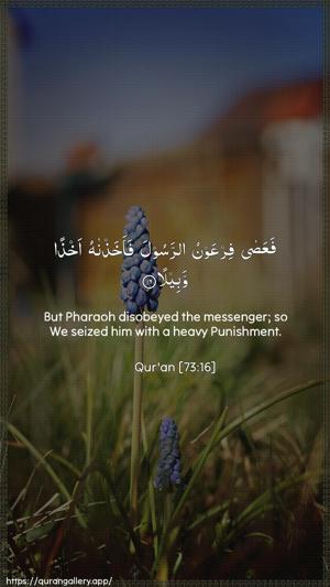 Al-Muzzammil Ayah 16 - Arabic + English wallpaper