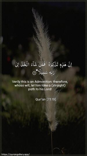 Al-Muzzammil Ayah 19 - Arabic + English wallpaper