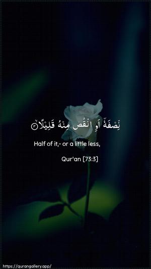 Al-Muzzammil Ayah 3 - Arabic + English wallpaper
