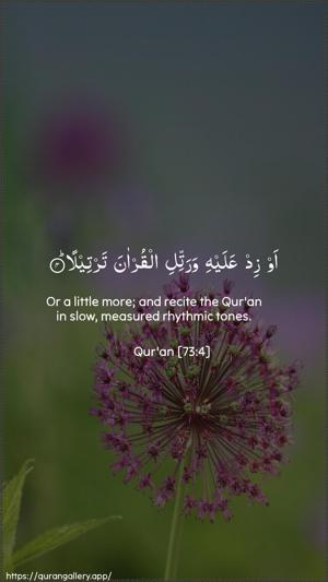 Al-Muzzammil Ayah 4 - Arabic + English wallpaper