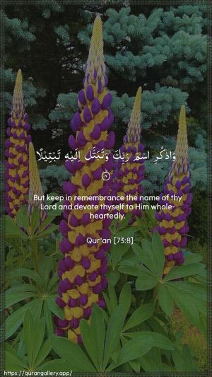 Al-Muzzammil Ayah 8 - Arabic + English wallpaper