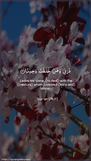 Al-Muddaththir Ayah 11 - Arabic + English wallpaper