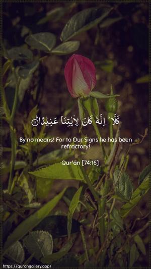 Al-Muddaththir Ayah 16 - Arabic + English wallpaper