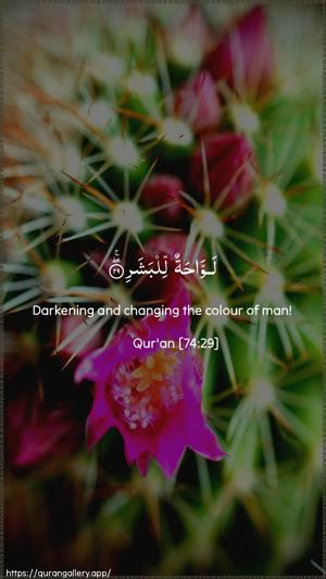 Al-Muddaththir Ayah 29 - Arabic + English wallpaper