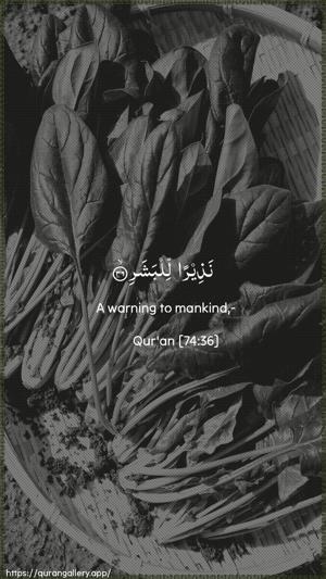 Al-Muddaththir Ayah 36 - Arabic + English wallpaper