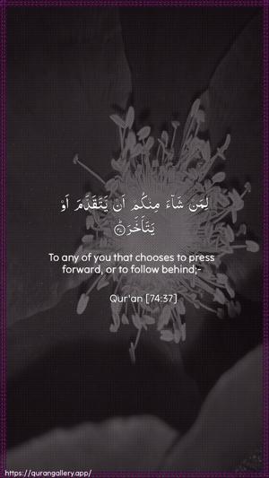 Al-Muddaththir Ayah 37 - Arabic + English wallpaper