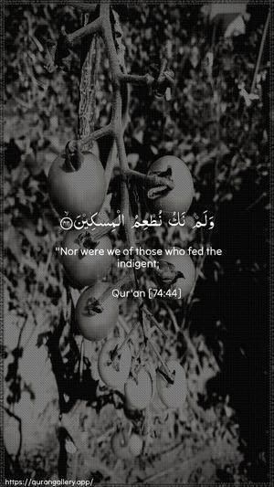 Al-Muddaththir Ayah 44 - Arabic + English wallpaper