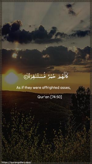 Al-Muddaththir Ayah 50 - Arabic + English wallpaper