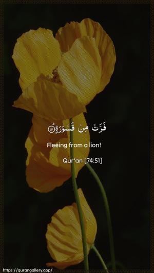 Al-Muddaththir Ayah 51 - Arabic + English wallpaper