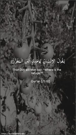 Al-Qiyaama Ayah 10 - Arabic + English wallpaper