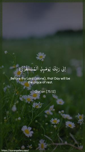 Al-Qiyaama Ayah 12 - Arabic + English wallpaper