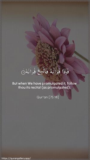 Al-Qiyaama Ayah 18 - Arabic + English wallpaper