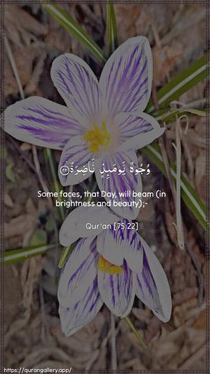 Al-Qiyaama Ayah 22 - Arabic + English wallpaper