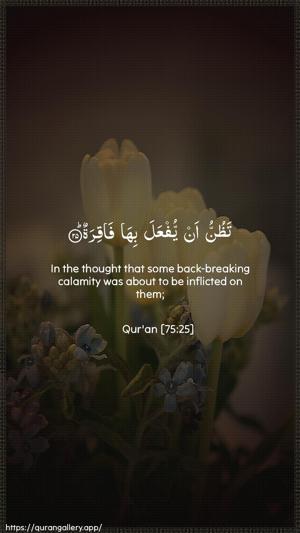 Al-Qiyaama Ayah 25 - Arabic + English wallpaper