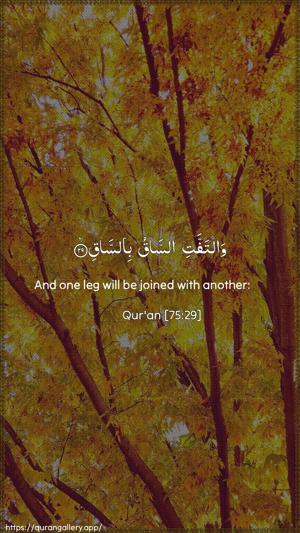 Al-Qiyaama Ayah 29 - Arabic + English wallpaper