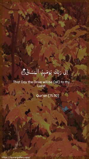 Al-Qiyaama Ayah 30 - Arabic + English wallpaper