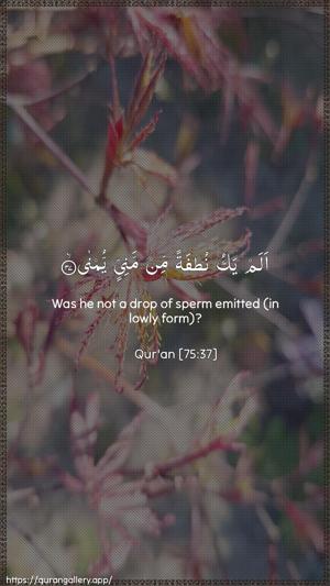 Al-Qiyaama Ayah 37 - Arabic + English wallpaper