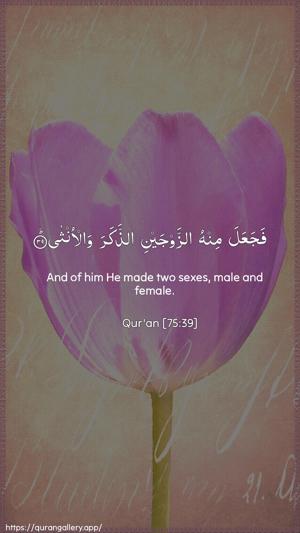 Al-Qiyaama Ayah 39 - Arabic + English wallpaper