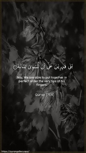 Al-Qiyaama Ayah 4 - Arabic + English wallpaper