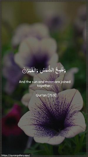 Al-Qiyaama Ayah 9 - Arabic + English wallpaper