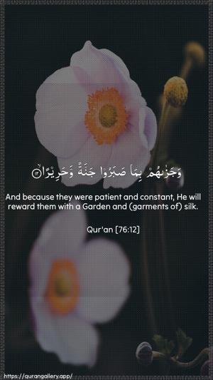 Al-Insaan Ayah 12 - Arabic + English wallpaper
