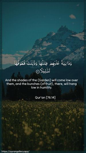 Al-Insaan Ayah 14 - Arabic + English wallpaper